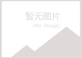 庆阳西峰夏槐化学有限公司